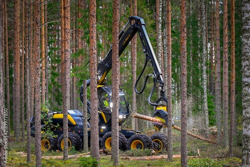 Logging Timber Harvesting  Forest Machine