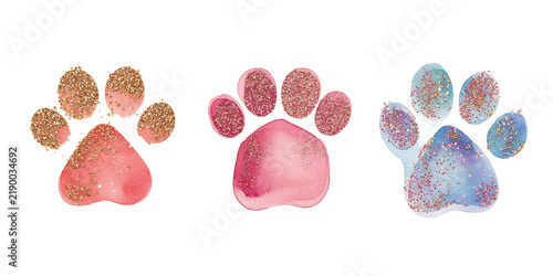 Watercolor cat's paw print Colorful сat, dog, animal footprint set Single element for design