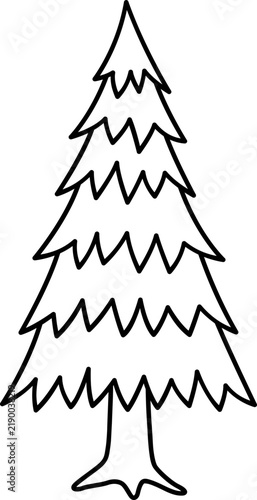 pine tree vector illustration