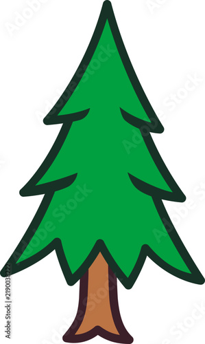 pine tree vector illustration
