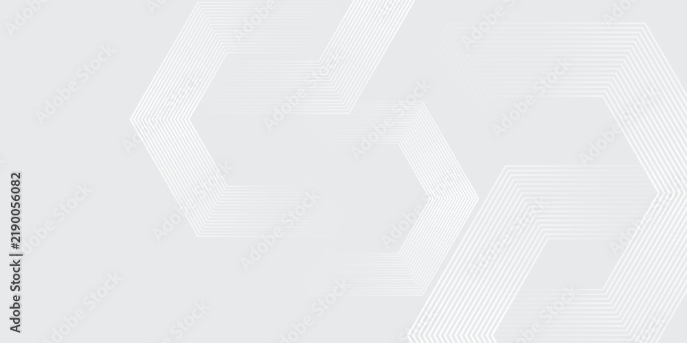 Fototapeta premium Minimalist gray background with hexagon geometric lines. The gray background features a smooth texture. vector illustration art