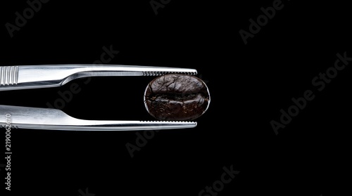 Single roasted coffee bean held precisely by metal tweezers illustrating gourmet coffee selection and agricultural quality control processes