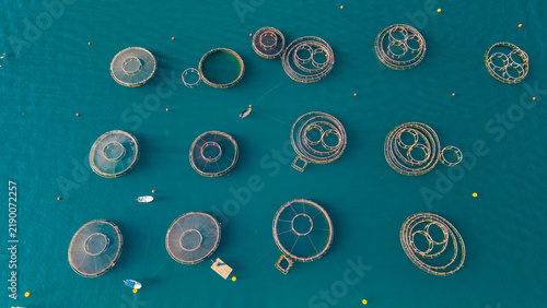 Aerial View of Marine Fish Farm in Donji Stoliv