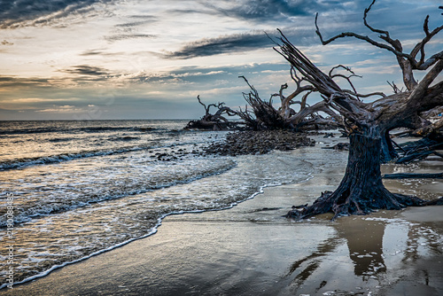 Intricate weathered tree branches and tide washing over the sandy shore at Driftwood Beach on Jekyll Island in Georgia