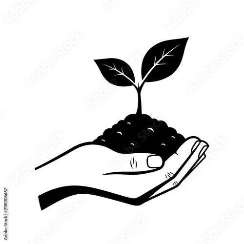 Hand holding a small green sprout growing from dark soil as a symbol of growth and nature with earth day black white environment nurturing gardening seedling