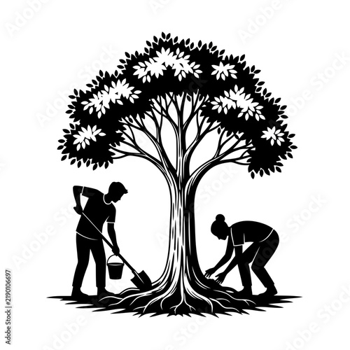 Man and woman planting a large tree together in silhouette with gardening together planting work nature conservation environmental action gardening couple