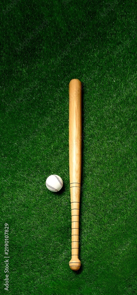 Obraz premium baseball bat and ball on green grass