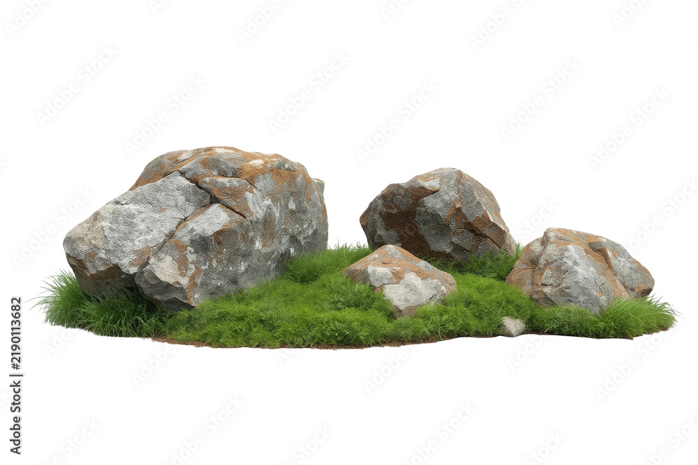 Fototapeta premium Rock and moss landscape arrangement