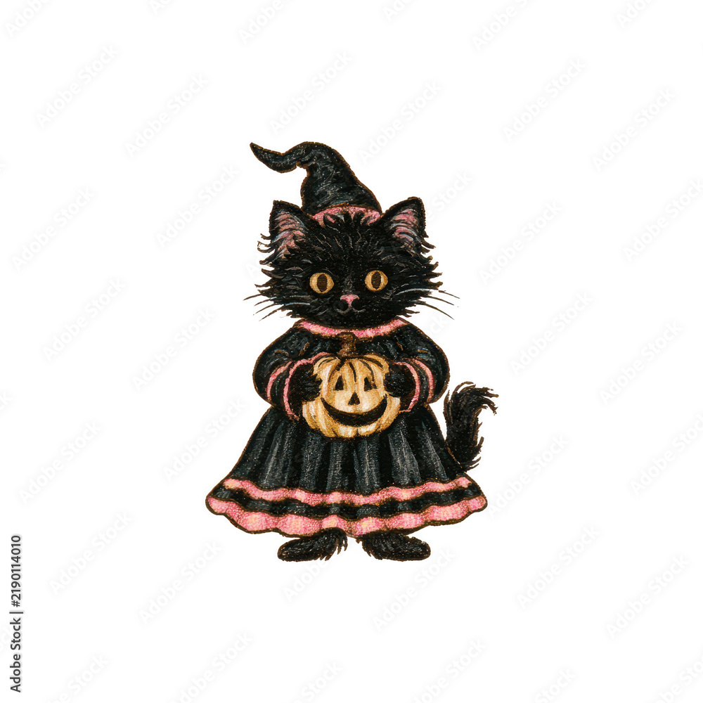 Fototapeta premium Cute Black Cat Witch Holding a Jack O Lantern for Halloween