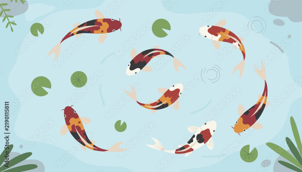 Obraz premium Japanese koi fish swim peacefully around green lily pads and rocks in a tranquil blue garden pond illustration.