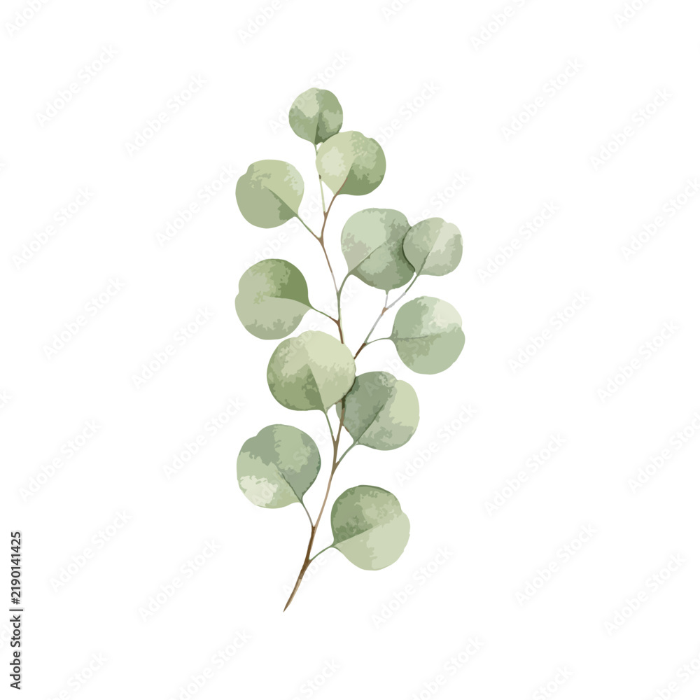Obraz premium Watercolor Eucalyptus Clipart PNG Greenery Branch Leaf Illustration Botanical Cutout Green Leaves Art
