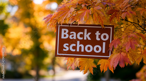 Back to school sign surrounded by colorful autumn maple leaves