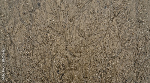 Damp sand texture with intricate natural patterns and details