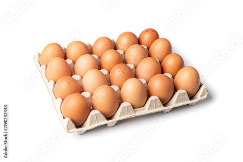 Egg Tray Isolated, Twenty Brown Eggs Pack, Fresh Organic Egg in Container