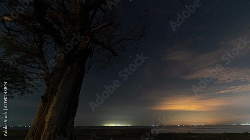 Timelapse of starry night sky with Milky Way and moving clouds beside a silhouette tree on the coast.