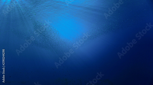 School of small fish in the blue ocean in rays of sunlight. Underwater photo - Scuba diving art.