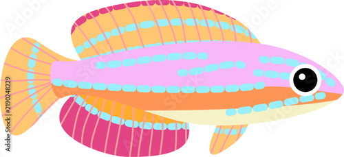 Colorful Rainbowfish or Flasher Wrasse Tropical Marine Fish Vector Illustration Isolated on White Background