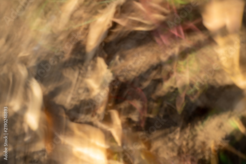 Foto Abstract motion blur nature background with dynamic swirling foliage and earthy