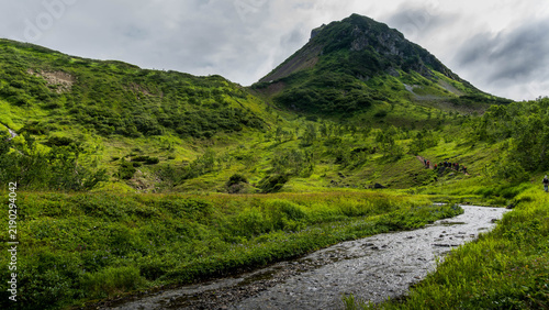 Obraz na płótnie Lush green valley in the Vachkazhets area of Kamchatka, surrounded by rounded volcanic hills, alpine meadows, dense vegetation, wildflowers, and soft mountain light