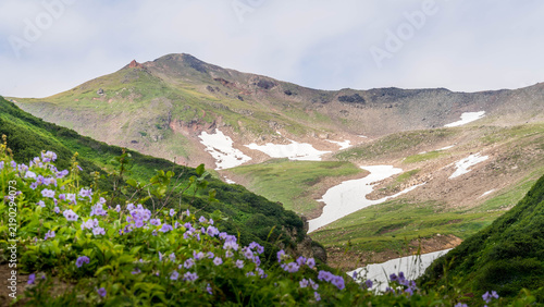 Cuadro en lienzo Beautiful Kamchatka landscape with lush green alpine meadows, colorful wildflowers, rolling volcanic hills, distant snow-capped peaks
