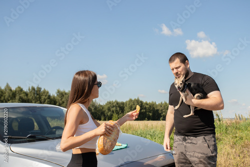 Fotografie small dog watching food offered by a woman during a roadside picnic as its owner