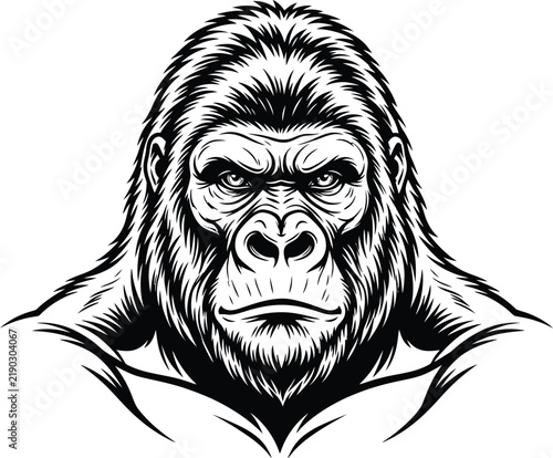 gorilla vector