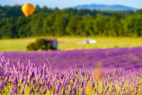Hot air balloon flying in sky. Provence in France. Tourism and adventure concept.