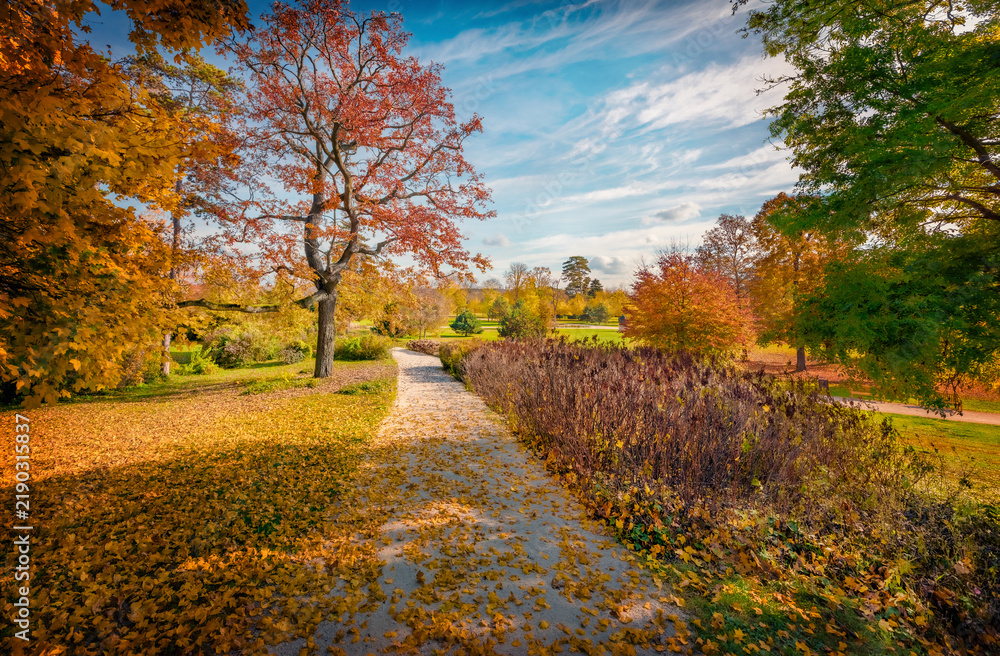 Obraz premium Trees covered with orange and crimson leaves. Splendid morning view of Kastelypark, Royal Palace of Godollo park. Nice autumn scene Hungary botanical garden. Beauty of nature concept background.