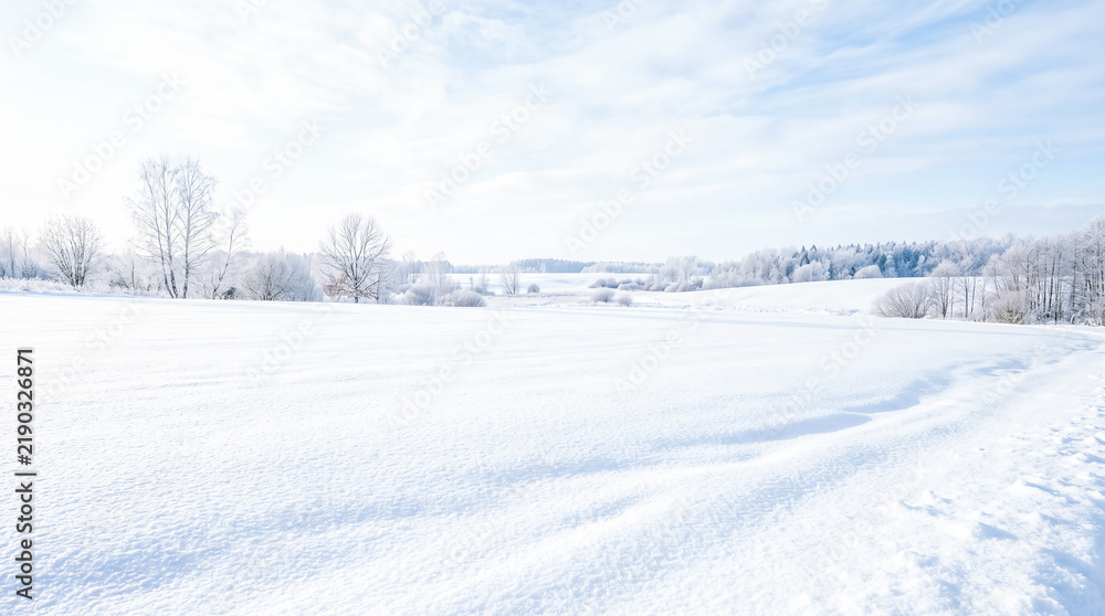 Obraz premium Vast empty agricultural field completely covered beneath thick white winter snow stretching towards distant frozen forest trees under light blue morning sky