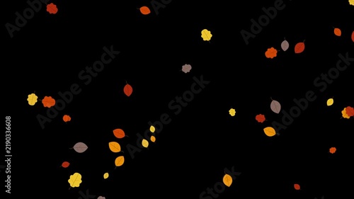 Vibrant autumn leaves in warm seasonal colors gently falling on a dark black background