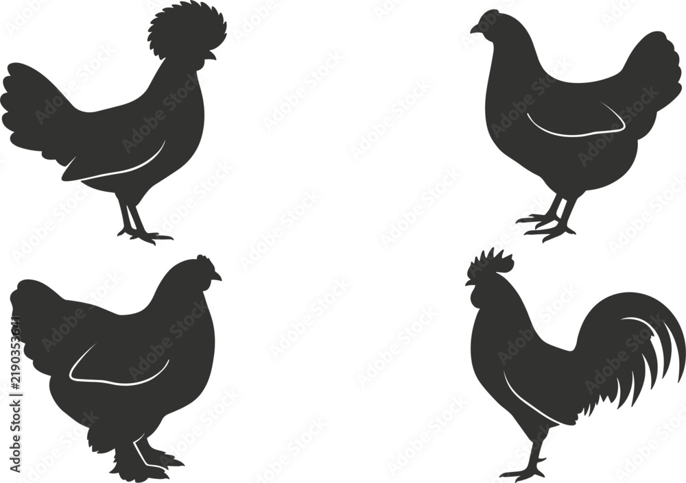 Fototapeta premium Chicken silhouettes vector illustrations set featuring farm birds including rooster hen and crested breed standing profile shapes isolated on a white background.