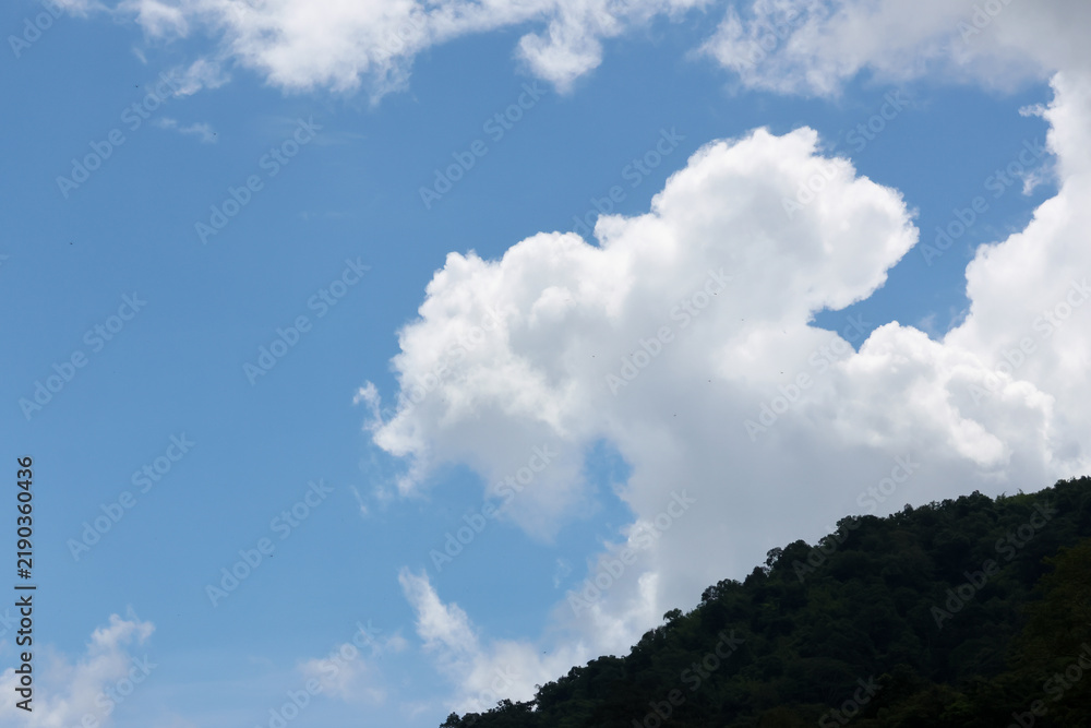 Obraz premium Blue sky and white cloud above dark green forested hillside create peaceful outdoor landscape with open space and natural atmosphere