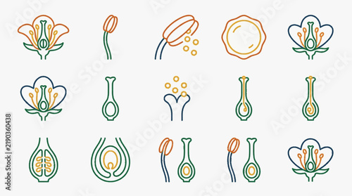 Educational collection of line art icons depicting plant reproductive anatomy, including flower cross-sections, stamen, anther, pollen, pistil, ovary, and stigma diagrams.