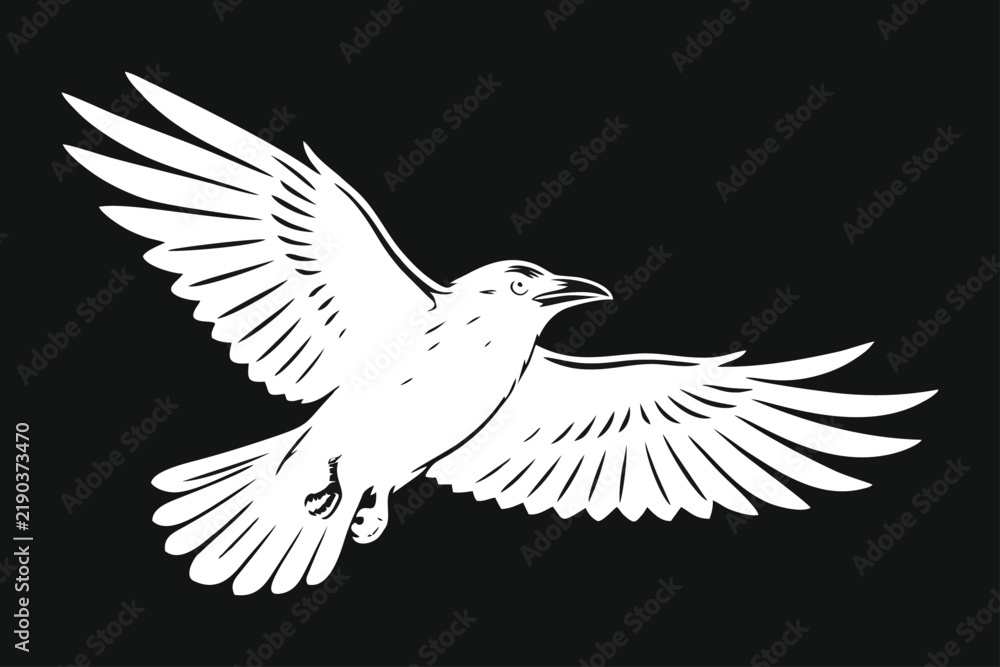 Obraz premium White Raven Flying with Spread Wings Vector Illustration on Black Background