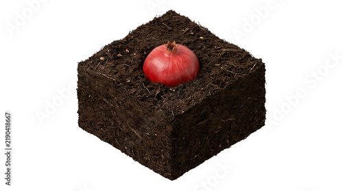 A Single Fresh Ripe Pomegranate Fruit Planted In A Cube Of Rich Soil Isolated On White