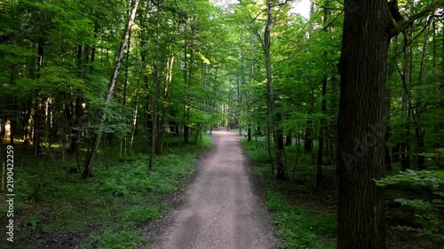 First person view of walking along a narrow dirt path through a lush green forest in summer