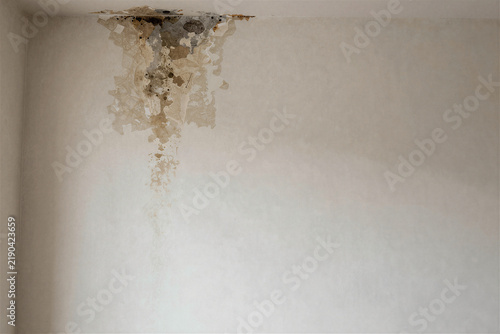 Water damage and mold stains spreading from ceiling on interior wall with copy space