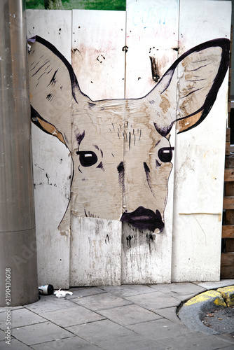 Photography graffiti on the wallr, stockholm,sweden,sverige,summer