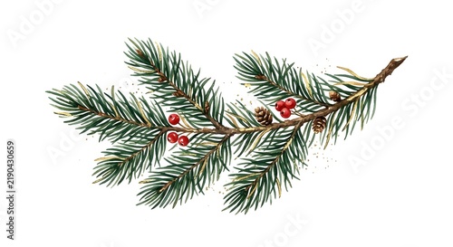 Fresh Evergreen Pine Branch With Red Berries And Small Pinecones Isolated On A Plain White Background