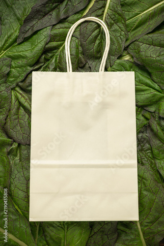 Eco-Friendly Paper Bag on Fresh Green Leaves Background for Sustainable Shopping