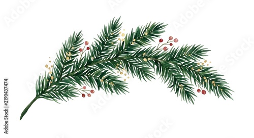 Watercolor Christmas Pine Tree Branch With Red Berries And Gold Glitter Accents On White Background