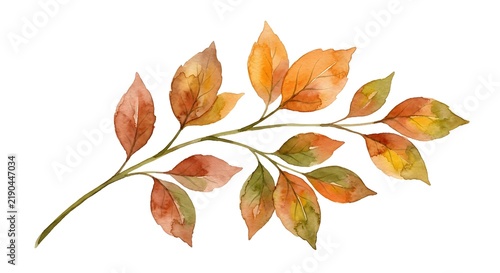 Watercolor Painting Of Autumn Leaves Branch On A Clean Isolated White Background For Decoration