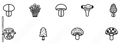 Wild Mushroom Collection Botanical Fungi Outline Icon Set