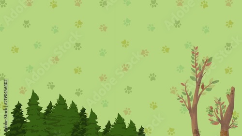 green grass background
