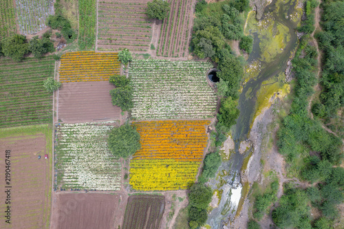 Картината върху платно High-angle aerial drone view of vibrant flower farming and agricultural fields near Pune, India