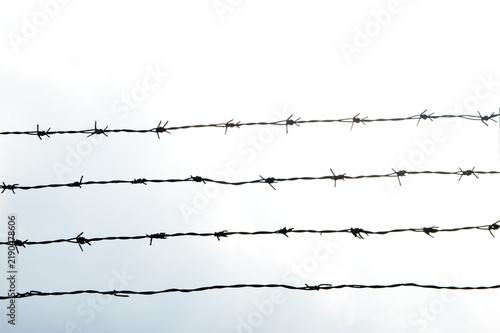 Obraz na płótnie Close up of metallic barbed wire silhouette,