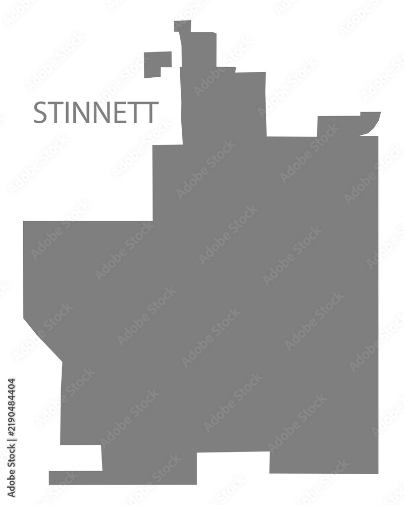 Obraz premium Stinnett City Map, Texas, USA