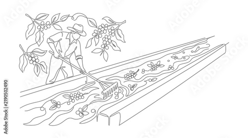 Single Line Art of Farmer Processing Coffee Cherries in Water