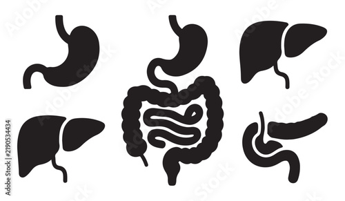 Foto Digestive system internal organs silhouette set including stomach liver and intestine for gastroenterology health