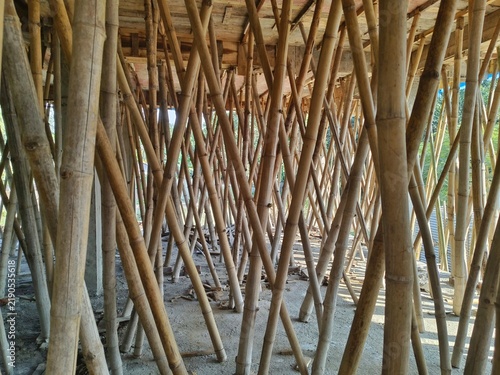 Canvastavla Interior view of a residential building at an unfinished stage, featuring a dense network of natural poles supporting a freshly cast concrete roof slab